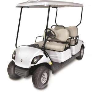 Electric Golf Carts For Sale